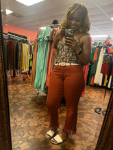 Load image into Gallery viewer, Animal Kingdom