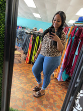 Load image into Gallery viewer, Animal Kingdom