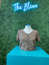 Load image into Gallery viewer, Animal Kingdom