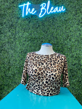 Load image into Gallery viewer, Animal Kingdom