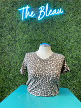 Load image into Gallery viewer, Animal Kingdom