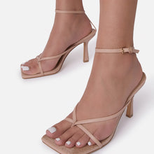 Load image into Gallery viewer, Catalina